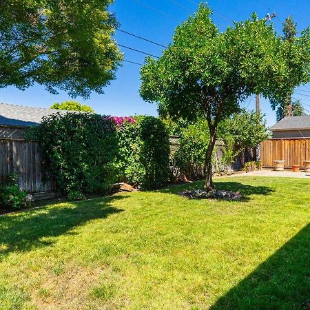 Great View & Bright 3Br Home /Ac/ סן חוזה מראה חיצוני תמונה